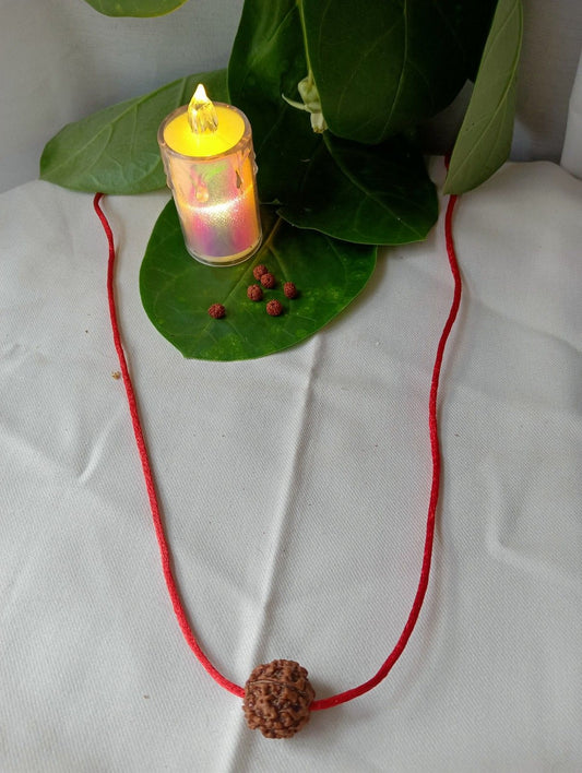 Original Nepali 5 Mukhi Rudraksha