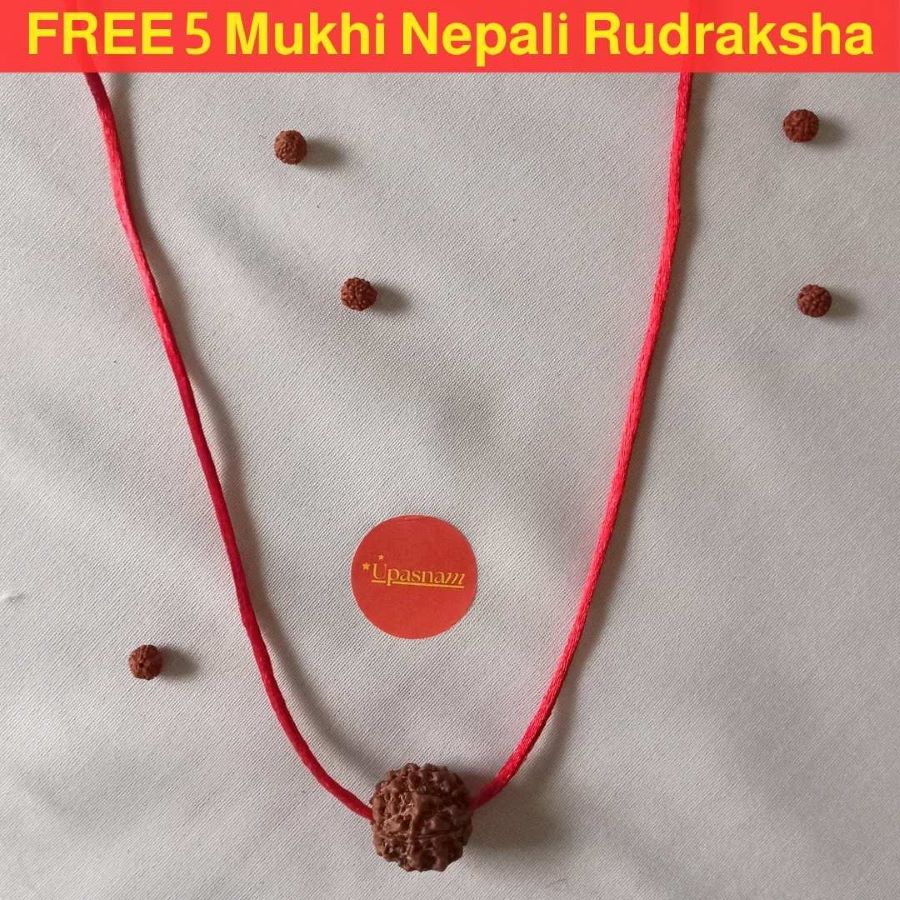 Original Nepali 7 Mukhi Rudraksha Pendant - Big Size