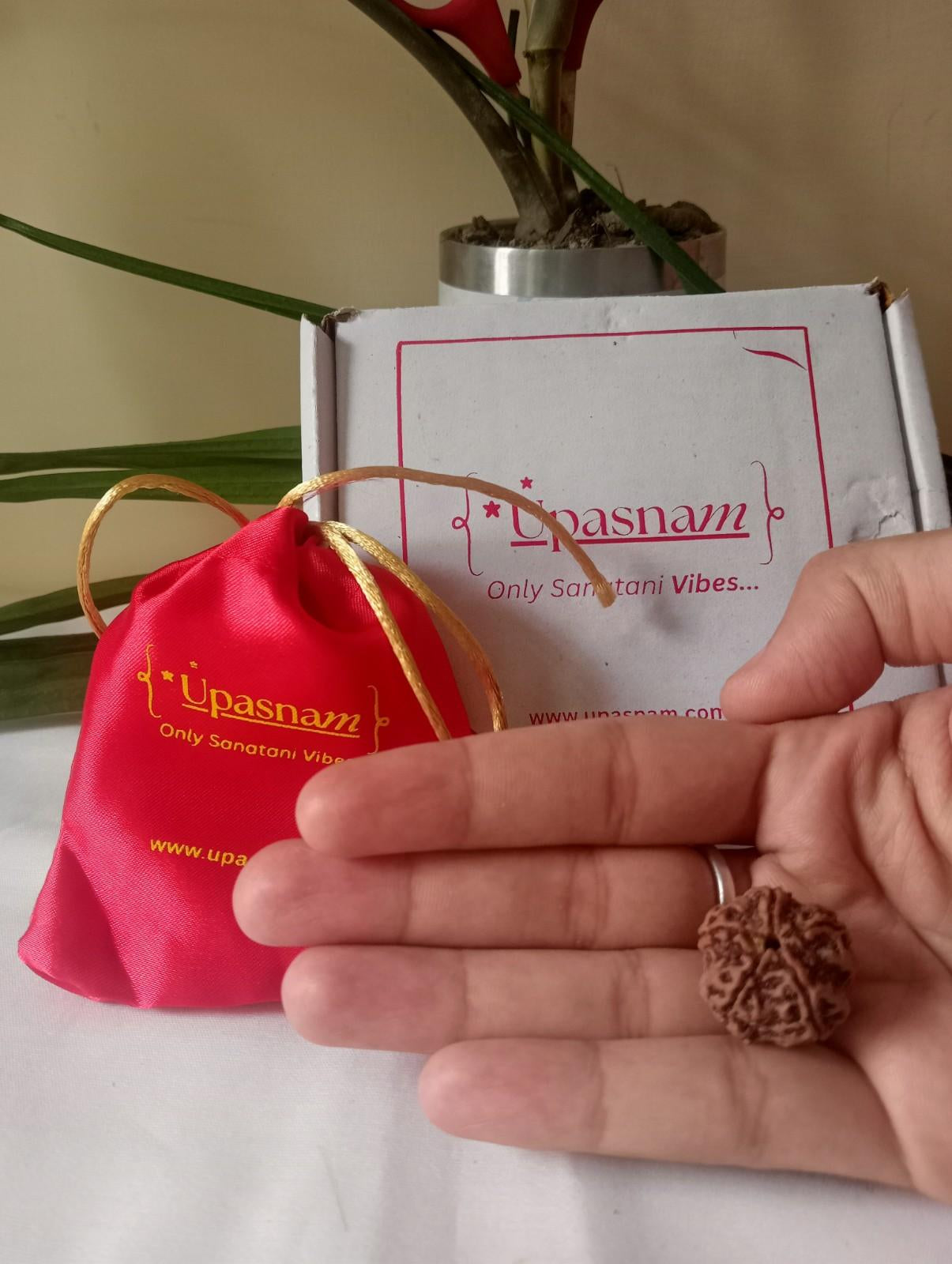 Original Nepali 5 Mukhi Rudraksha