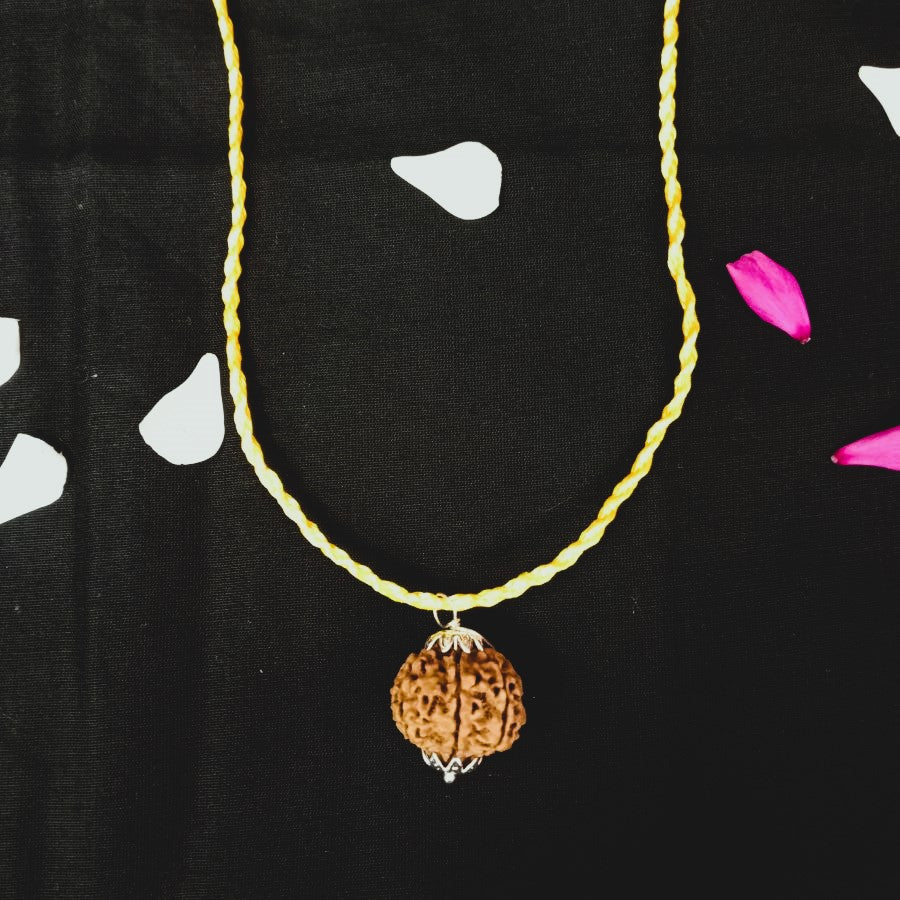 Original Nepali 7 Mukhi Rudraksha Pendant - Big Size