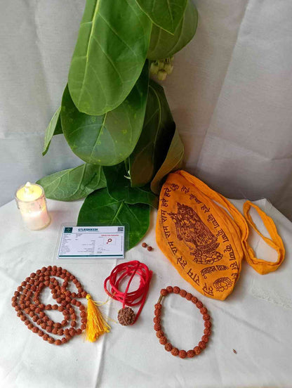 5 Mukhi Power Pack