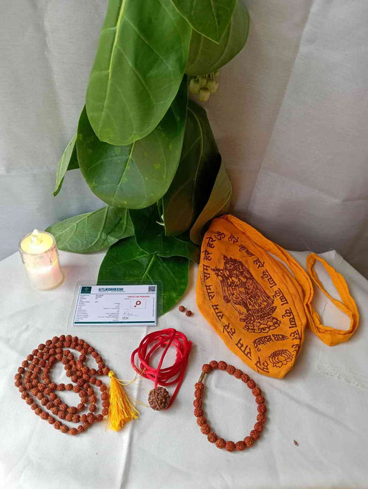 5 Mukhi Power Pack
