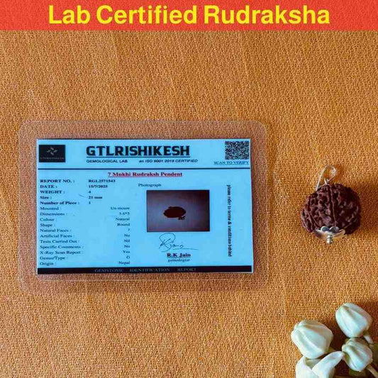 Original Nepali 7 Mukhi Rudraksha Pendant