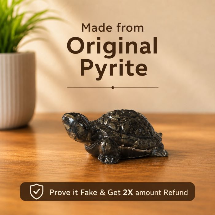 Dhan Laabh Pyrite Tortoise (Kachhua)