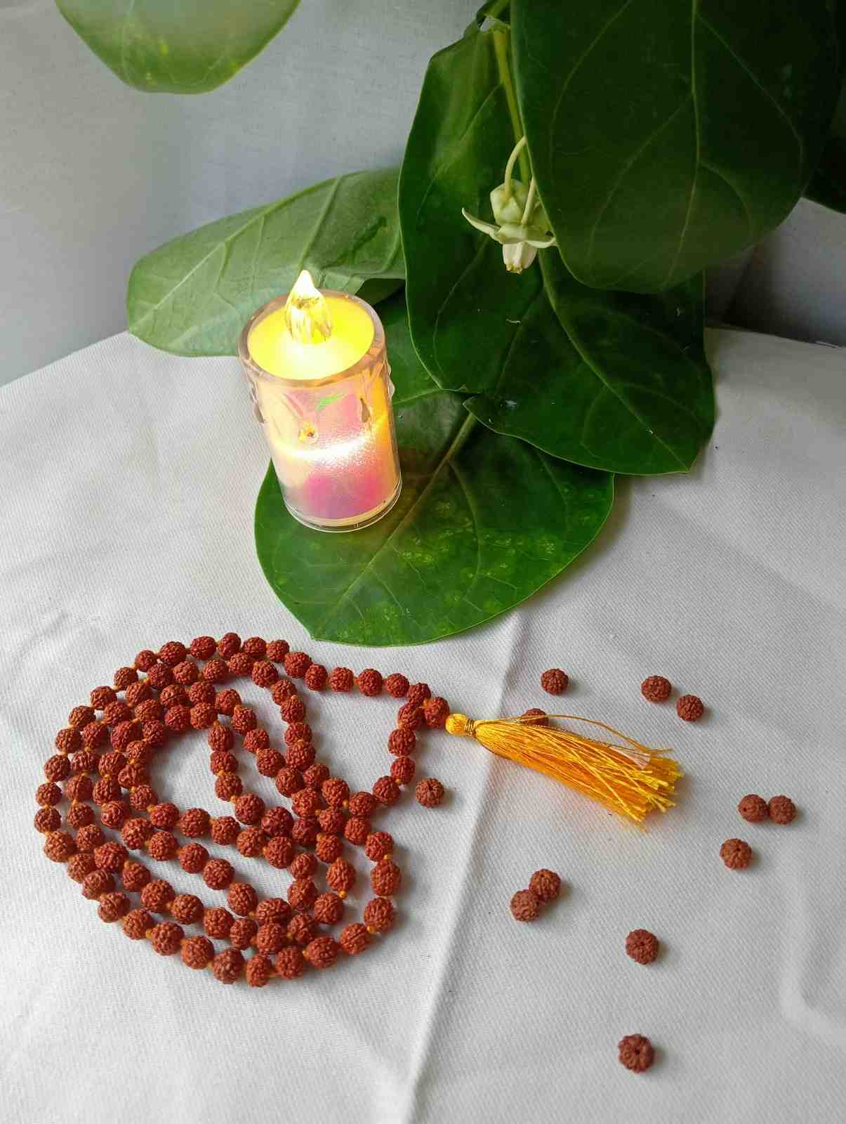 5 Mukhi Power Pack
