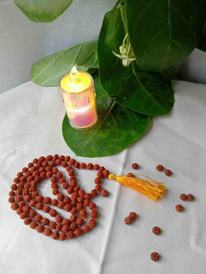 5 Mukhi Power Pack