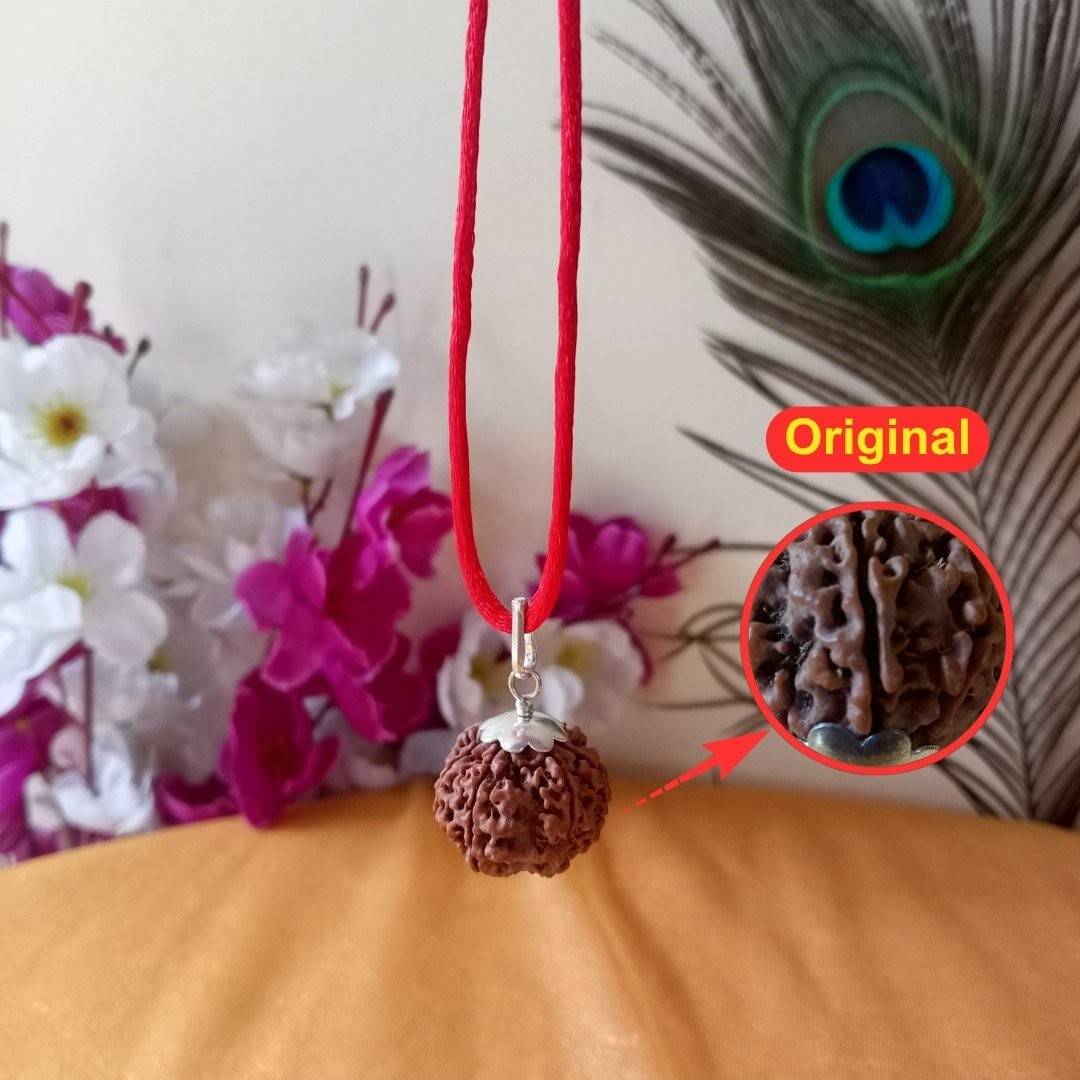 Original Nepali 7 Mukhi Rudraksha Pendant