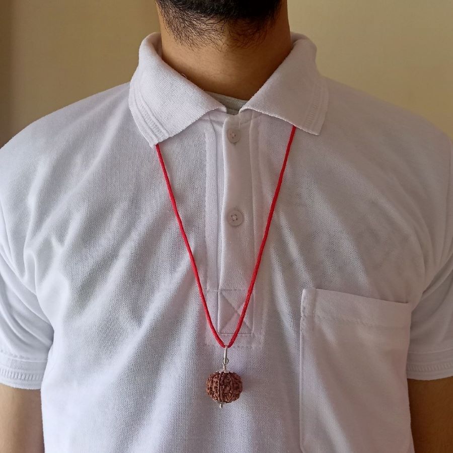 Original Nepali 7 Mukhi Rudraksha Pendant - Big Size