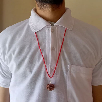 Original Nepali 7 Mukhi Rudraksha Pendant - Big Size