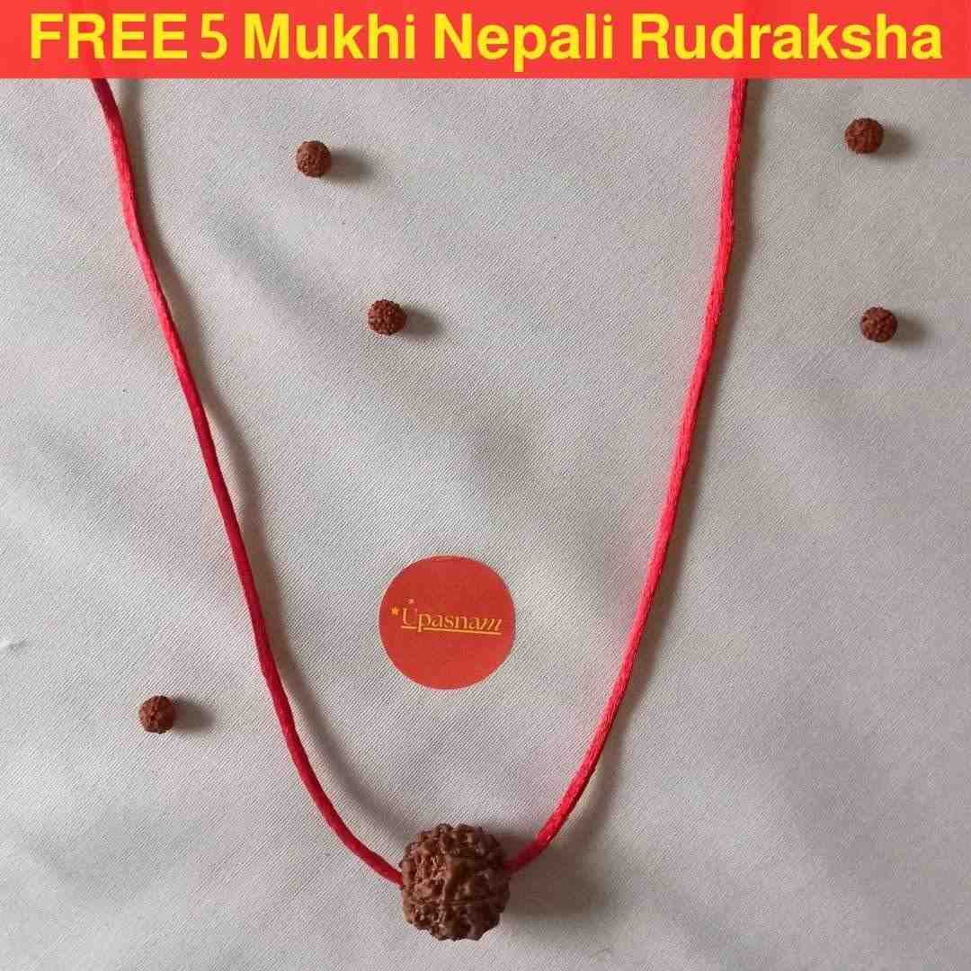 Original Nepali 7 Mukhi Rudraksha Pendant