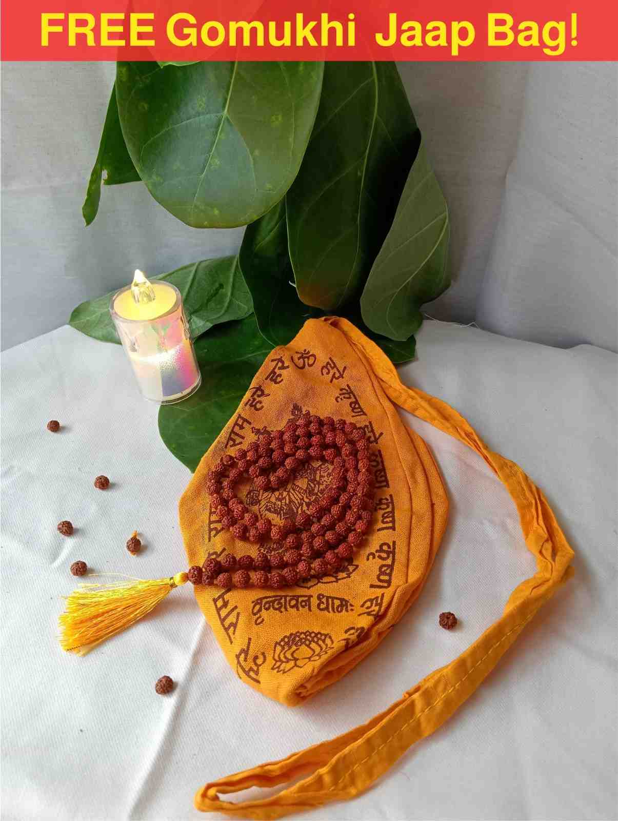5 Mukhi Power Pack