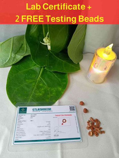 5 Mukhi Power Pack