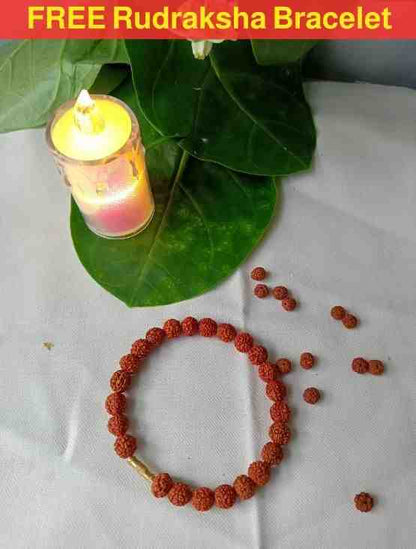 5 Mukhi Rudraksha Mala 7mm